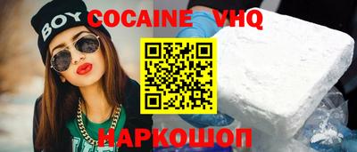 гашик Кингисепп
