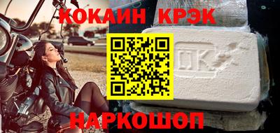 гашик Кингисепп