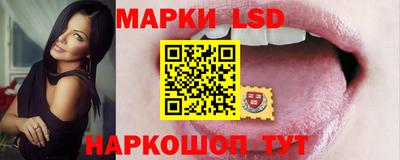гашик Кингисепп
