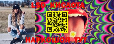 гашик Кингисепп