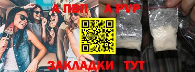 гашик Кингисепп