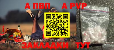гашик Кингисепп