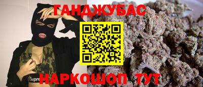 гашик Кингисепп