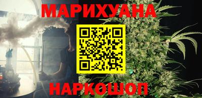 индика Кинель