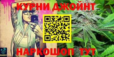 гашик Кингисепп