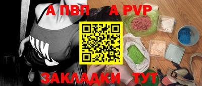 гашик Кингисепп