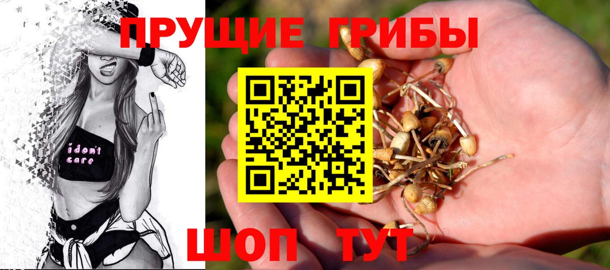 Псилоцибиновые грибы мицелий Усинск